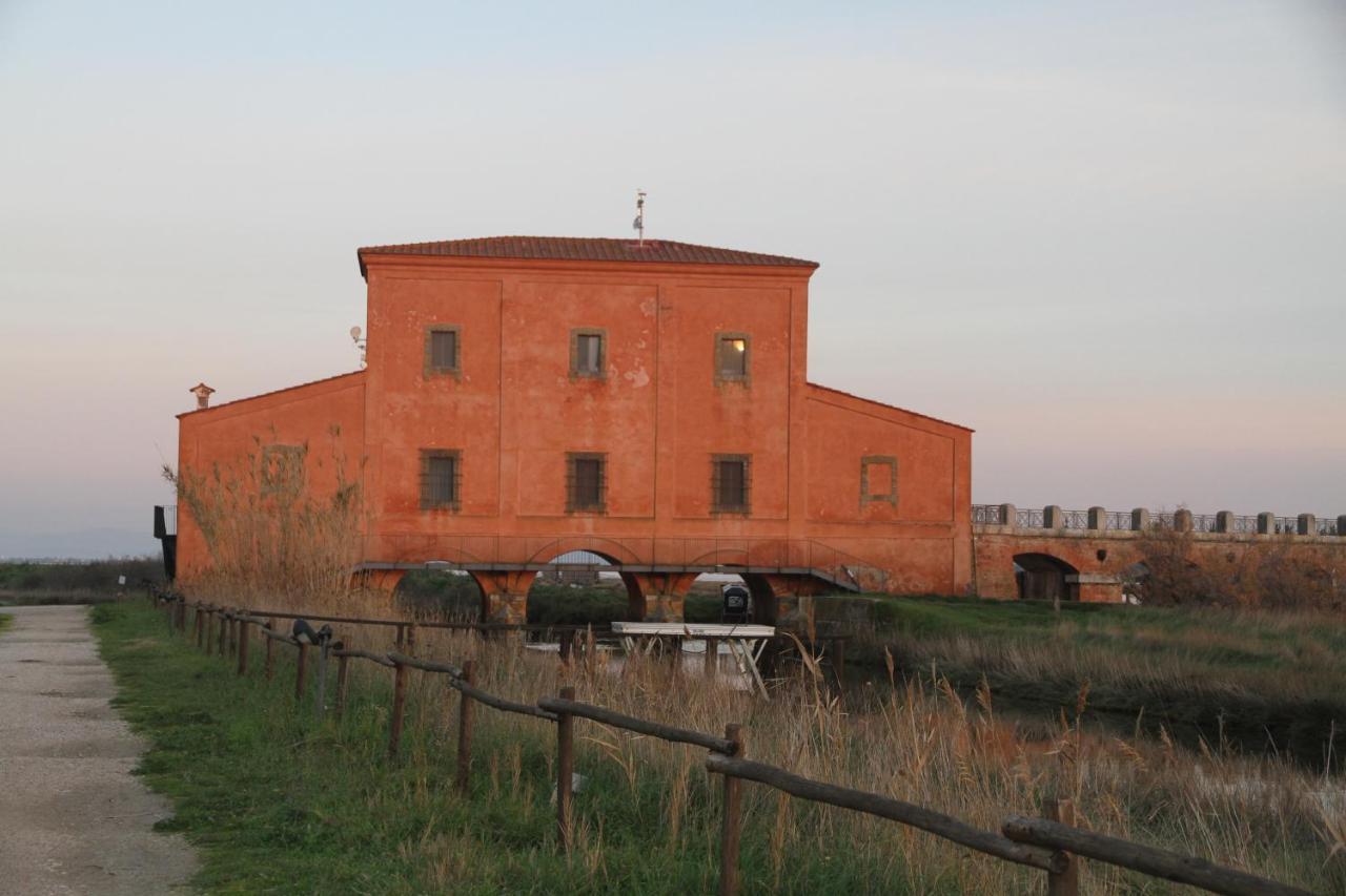 Villa Giulia Al Mare كاستيغليون ديلا بيسكايا المظهر الخارجي الصورة