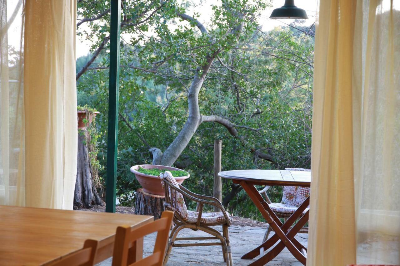 Villa Giulia Al Mare كاستيغليون ديلا بيسكايا المظهر الخارجي الصورة